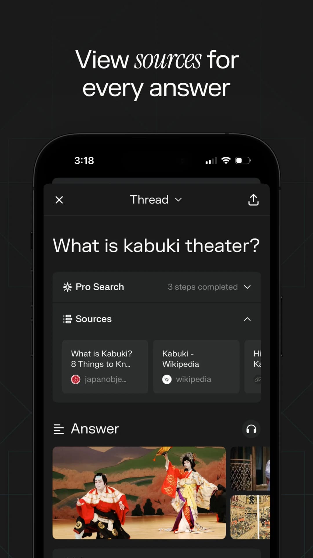 Perplexity Pro Search answer about kabuki with its sources panel expanded