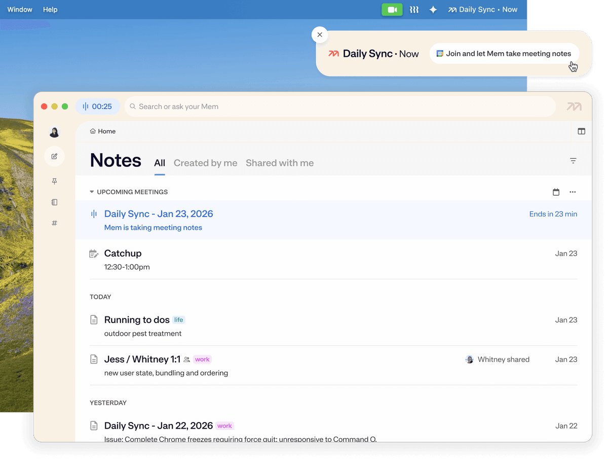 Official Mem screenshot showing its notes interface and Daily Sync meeting capture.